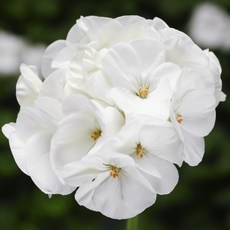 a7d05db94b0cd8033eede7abac65c21f1c22df6bc884151cb5ee87d410de.jpg
