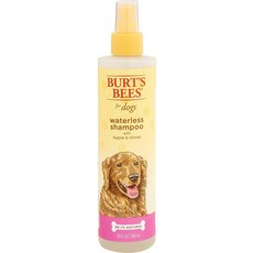Burts Bees 애견용 애플 허니 워터리스 샴푸 10온스 병, 1개, 296ml