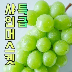 신선하이