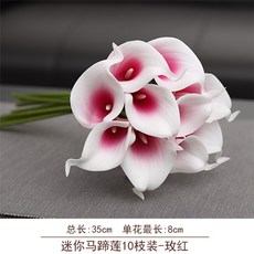 e4e80885b64d9892dc279904a9fe2ed5db83e357504cf0fecf8862df221c.jpeg