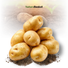 Naturebasket의 국내산 감자 포슬포슬 타박감자 5키로 판매, 1개, 중, 5kg 중