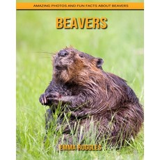 Beavers: Amazing Photos and Fun Facts about Beavers Paperback, Independently Published