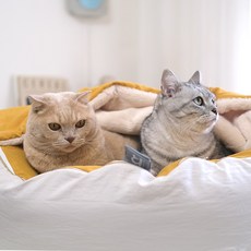 홈랩 기절 펫 강아지이불 베개 고양이 숨숨집 세트 3색상, 1세트, 머스타드