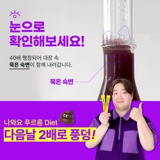 연세생활건강 나와요 푸르릉 다이어트 푸룬주스맛 차전자피 식이섬유 워터믹스 쾌변 체지방감소 탄수화물컷 식욕억제 알로에전잎 잠자는 동안 다음날 똥이 2배 장건강, 1박스