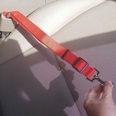 차량용 애견 목줄 소형견목줄, 1개