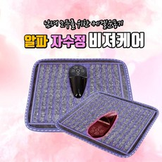 비져케어