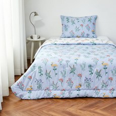 닥스아사워싱에리카세트