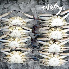 수입냉동꽃게