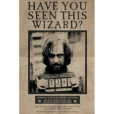 Harry Potter and the Prisoner of Azkaban-Film Poster Printing (Want : Sirius Black) (Size : 24 inches x 36 inches), 본상품