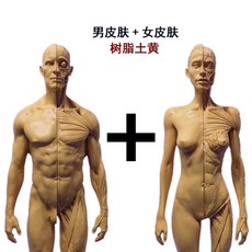 43d66571082179fcd0b5c56a2aaf0c76186d93e41a9d3233e9c8381fa60f.jpg