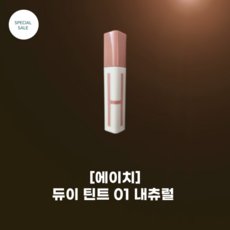 에이치듀이틴트 TOP01