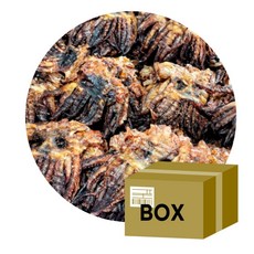 [박스무배]국내가공 구운 쇼츠다리 10kg, 1개