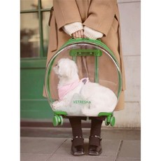 패트와매트모자