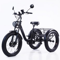 전기 삼륜 자전거 어른 짐 자동 세발 전기자전거