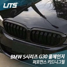 LITS 퍼포먼스 키드니그릴 BM0324