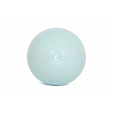 아이워너 소프트 토닝볼 1kg 2개입 웨이트볼 메디신볼, 없음