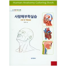 눈해부학실습3판