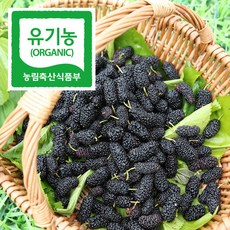 2024년도 햇오디 땅끝해남 산지직송 유기농 햇오디 냉동 오디 생과 1kg, 1개 - 레실리오디