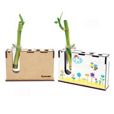 생명과학콩나물키우기