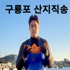 홍게 TOP01