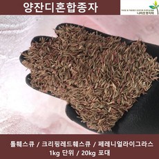 양잔디혼합 1kg 20kg 풀씨 양잔디혼합3종 혼합종자, 20개