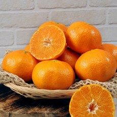 eTV 제주 레드향 1kg 소과 7~8과 가정용