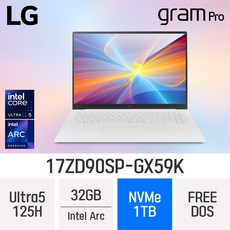 LG전자 그램 프로17 17ZD90SP-GX59K, Free DOS, 32GB, 1TB, White