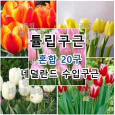 b0bb24d4b77cd40ac0558d39fc55c2b9f10fadbfb5fb5a2f6bb3307eaaba.jpg