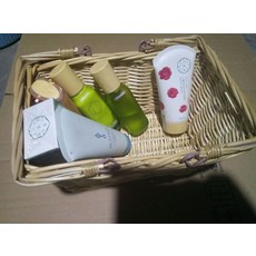 서울숲피크닉대여