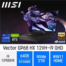 MSI GP시리즈 Vector GP68 HX 12VH-i9 QHD, WIN11 Home, 64GB, 2TB, 코어i9, B