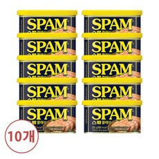CJ 스팸 클래식 200g x 10개, 상세페이지 참조