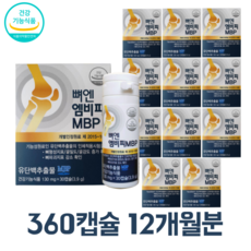 뼈엔 엠비피 MBP 130mg x 360캡슐 12개월분 골다공증 지성 뼈엔 MBP, 3.9g, 12개