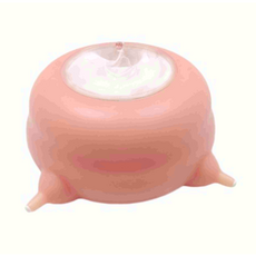 로컬92 반려동물 수유 젖병 200ml, 핑크 1개, 1개