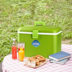 아트박스/라이피스트 아이스박스 30L(다소니), 본품