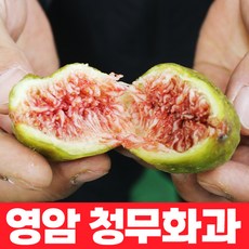 무화과청