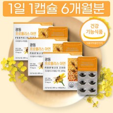 이마트트레이더스쿠폰