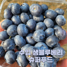 수입 생 블루베리 14mm 내외 슈퍼푸드, 8개, 125g