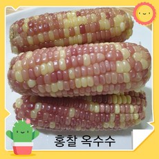 //상품명