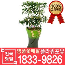 미용실개업화분