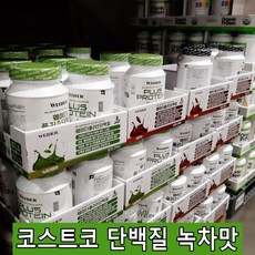 코스트코단백질파우더