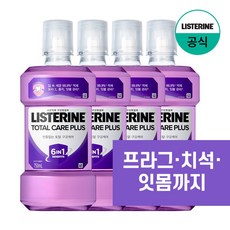 리스테린 토탈케어 플러스 구강청결제, 750ml, 4개