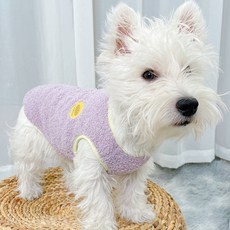 애견후리스밀리터리