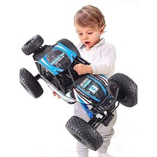 브랜드 : Ellyeall High Speed Giant Double Motors Scale 1:10 RC Car Electric Fast Racing All Terrain, One Color_Black, One Color, 상세 설명 참조0