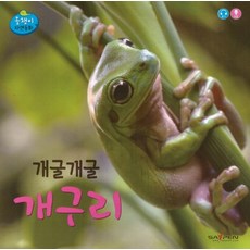 개구리책