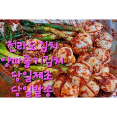 은금채김치 전라도 수제 양파줄기김치 (익을수록 맛있는 제철 줄기양파), 1개, 1kg