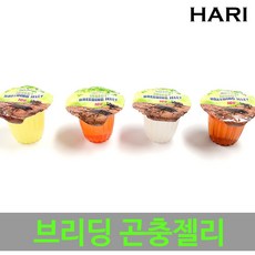 [당발] 파이브오션 브리딩 곤충젤리 50개부터!, 100개, 인섹트 브리딩젤리 랜덤맛