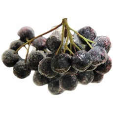 무농약생아로니아