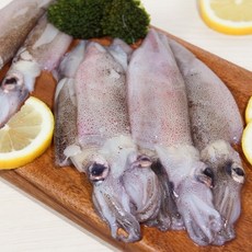 신선함을 가득담은 한치 총알한치 500g, 1세트, 500g 1팩