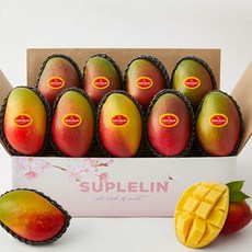 수플린 애플망고 4kg(8-12입), 1박스, 4kg