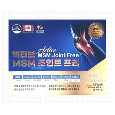 액티브 엠에스엠 조인트 프리 180정 MSM, 1개